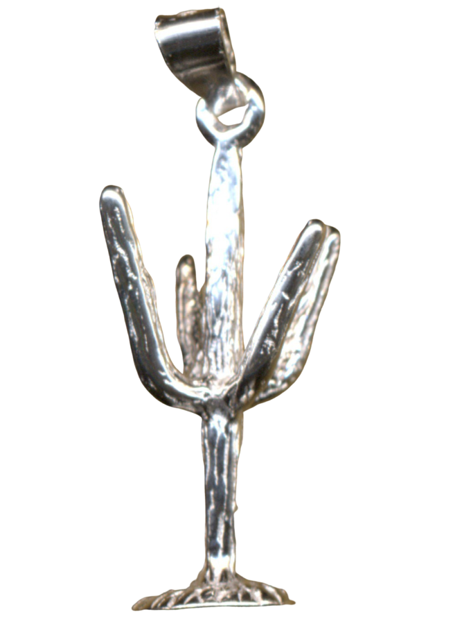 KAKTUS