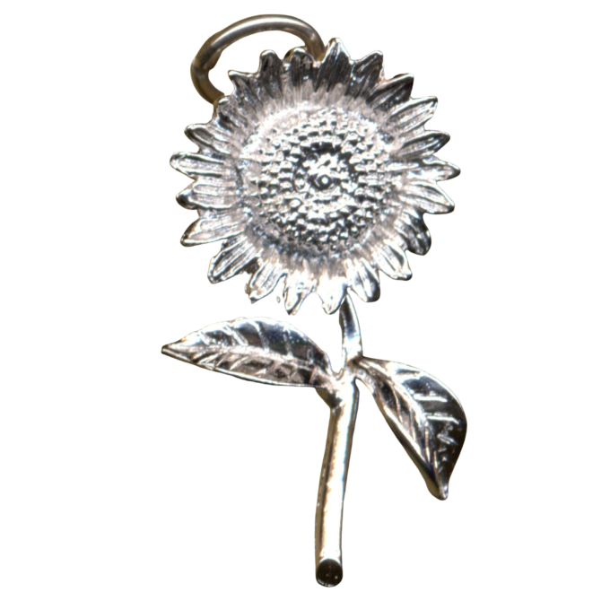 SOLROS