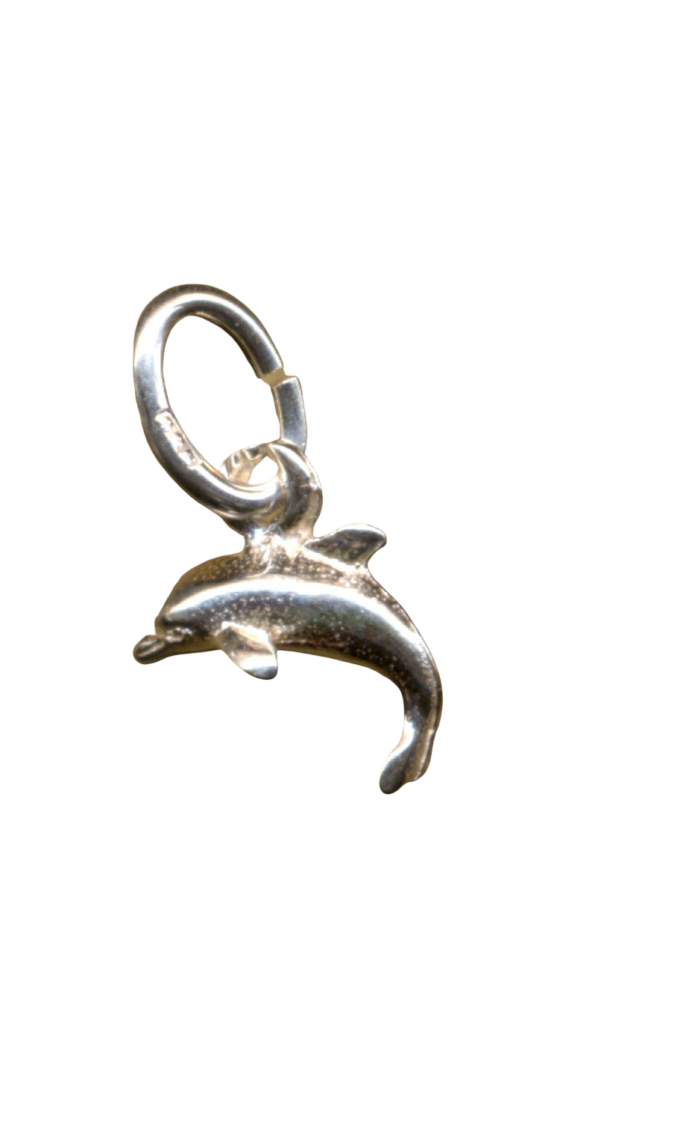 DELFIN