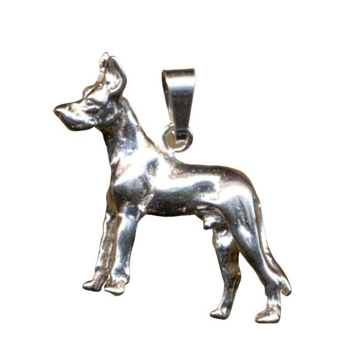 DT. DOGGE